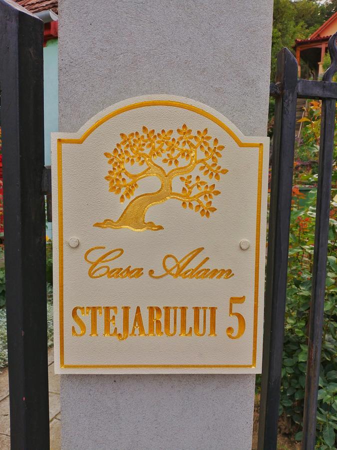 Casa Adam Hotel Sighisoara Luaran gambar